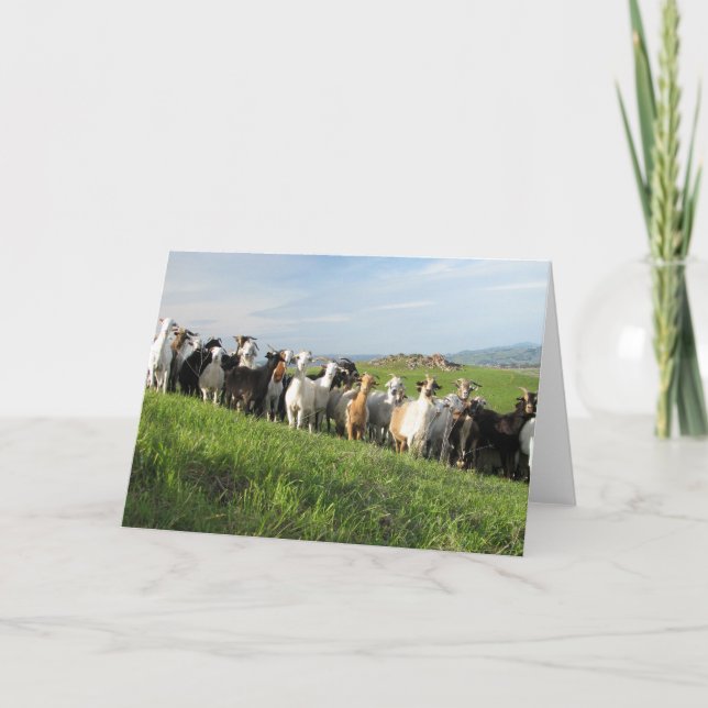 NGIP Grußkarten Karte (Vorderseite)