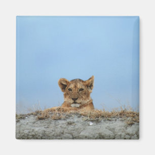 Ngorongoro-Krater, Tansania Magnet