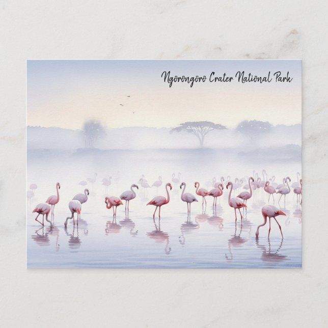Ngorongoro Tansania Flamingos Postkarte (Vorderseite)