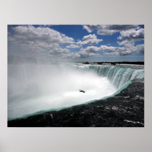 Niagara Falls mit Seagull Poster
