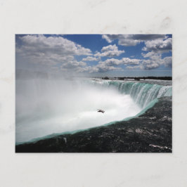 Niagara Falls mit Seagull Postkarte