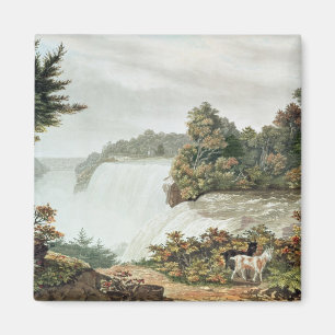 Niagara Falls, von der Ziegen-Insel Magnet