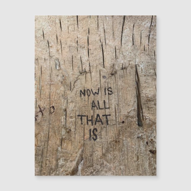 NIATI Magnet (Vorderseite)