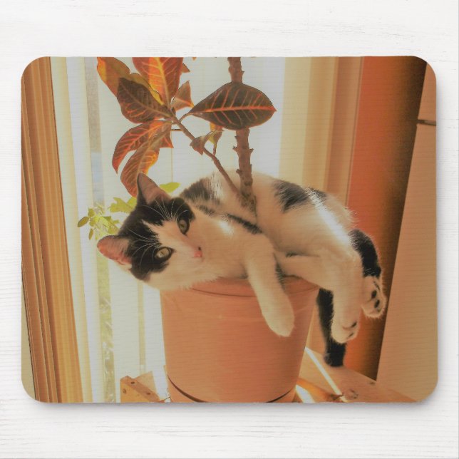 Nibbler ist Catnipping Mousepad (Vorne)