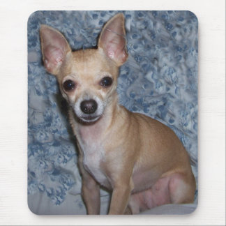 nibblesportrait mousepad