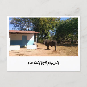Nicaragua Postkarte