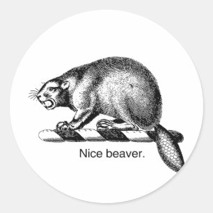 NICE BEAVER -.png Runder Aufkleber
