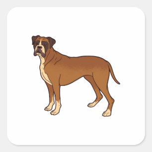 Nice Brown Boxer Dog Breed Design Quadratischer Aufkleber