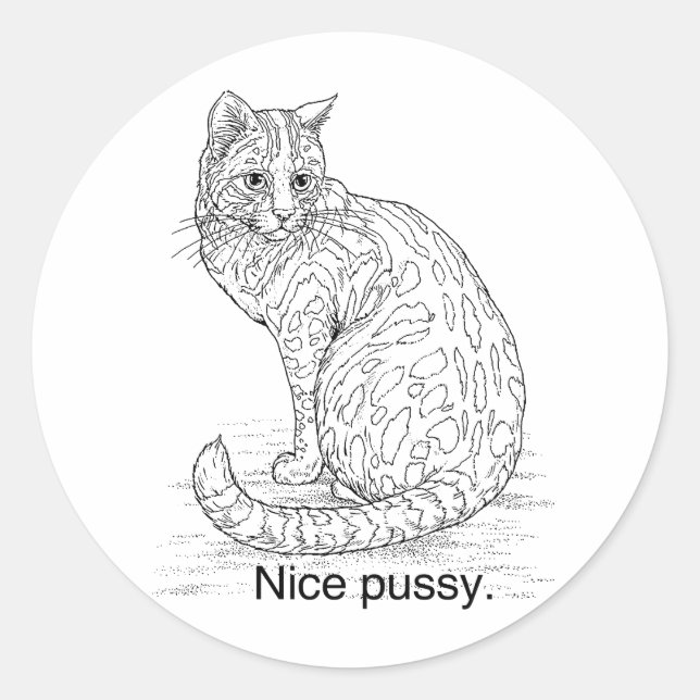 NICE CAT RUNDER AUFKLEBER (Vorderseite)