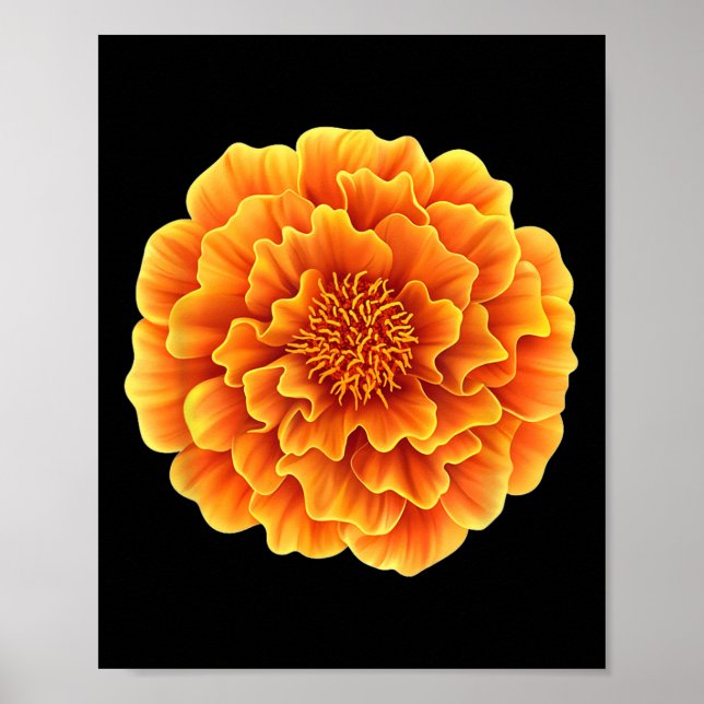 Nice Marigold Blossoms Poster (Vorne)