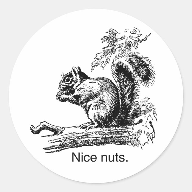 NICE NUTS -.png Runder Aufkleber (Vorderseite)