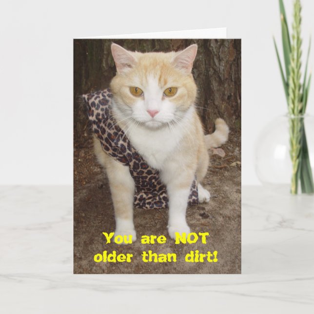 Nice Older als Dirt BD Card Karte (Vorderseite)