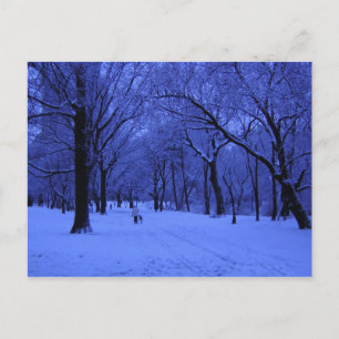 NICE WALK POSTKARTE