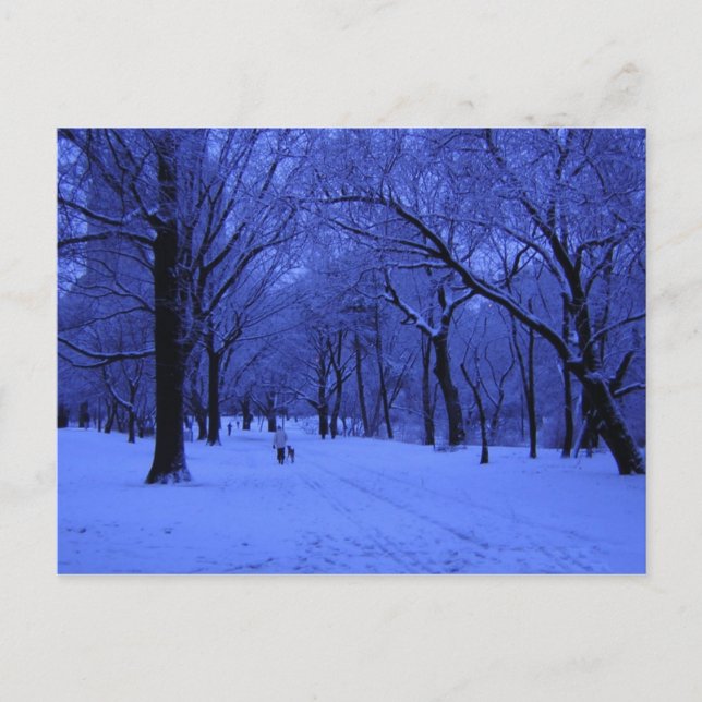 NICE WALK POSTKARTE (Vorderseite)