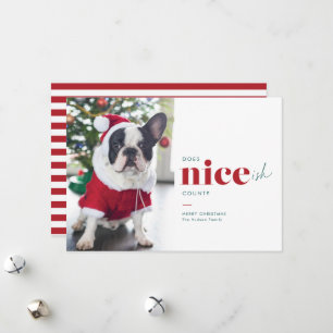 Niceish Funny Chien Cartes de Noël