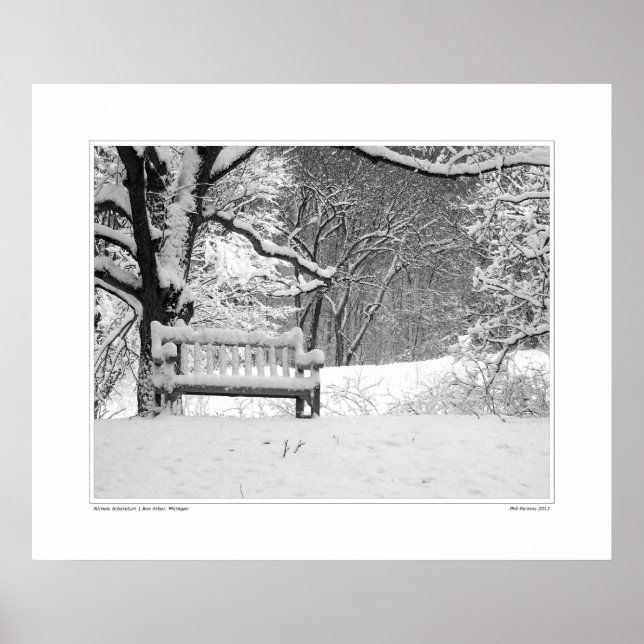 Nichols Arboretum #1 Poster (Vorne)