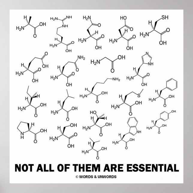 Nicht alle sind essenziell (20 Aminosäuren) Poster (Vorne)
