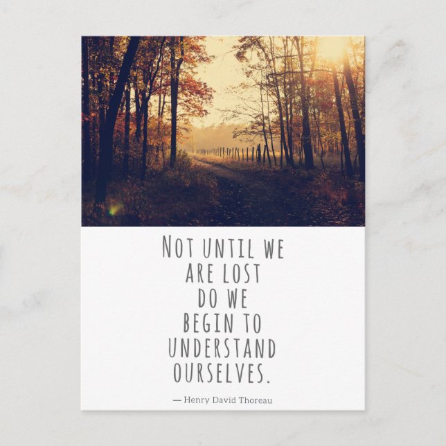Nicht, bis wir das Thoreau-Zitat verloren haben Postkarte (Vorderseite)