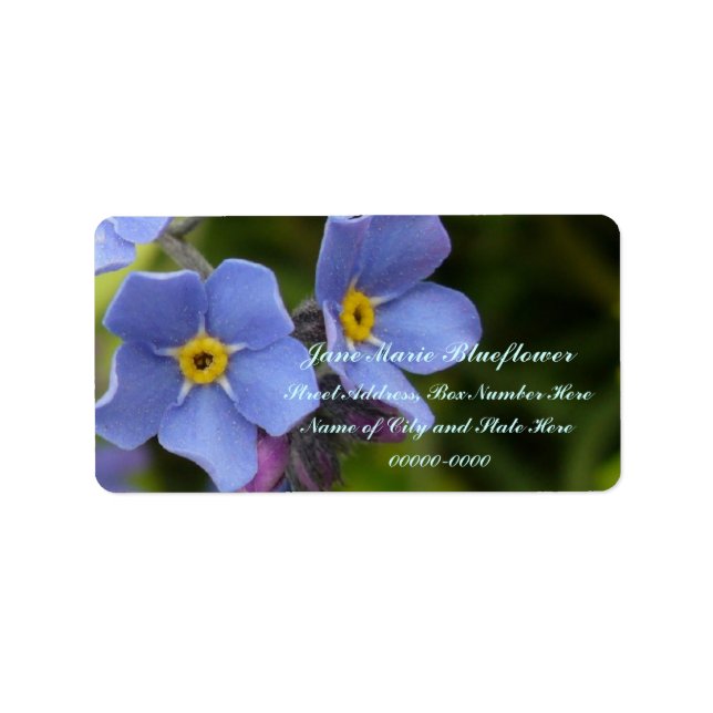 Nicht-Blume vergessen, Myosotis Adressaufkleber (Vorne)