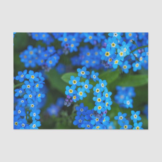 Nicht-Blumenzwiebelpapier Seidenpapier (Vorderseite)