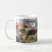 Nicht Budgin, bis ich Kaffee bekomme — Cat Tasse