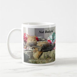 Nicht Budgin, bis ich Kaffee bekomme — Cat Tasse