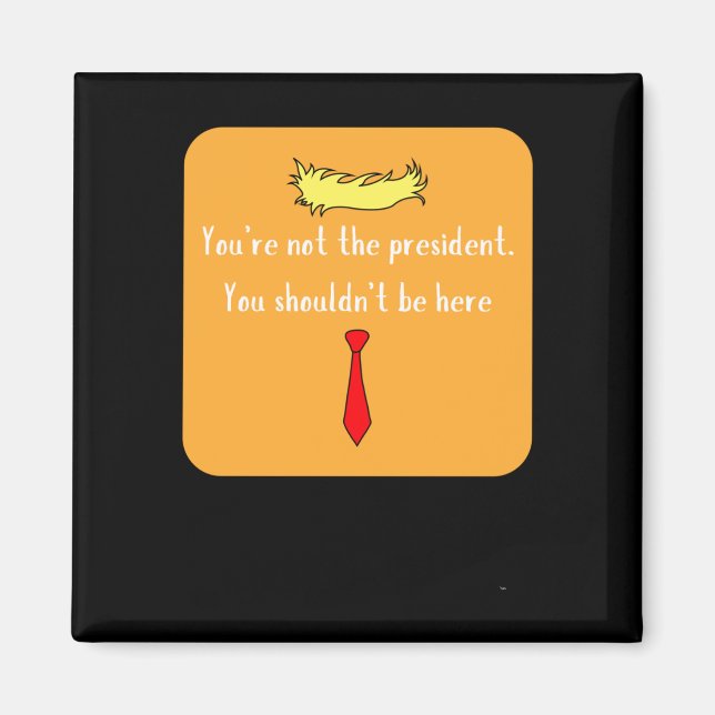Nicht der Präsident Magnet (Vorne)