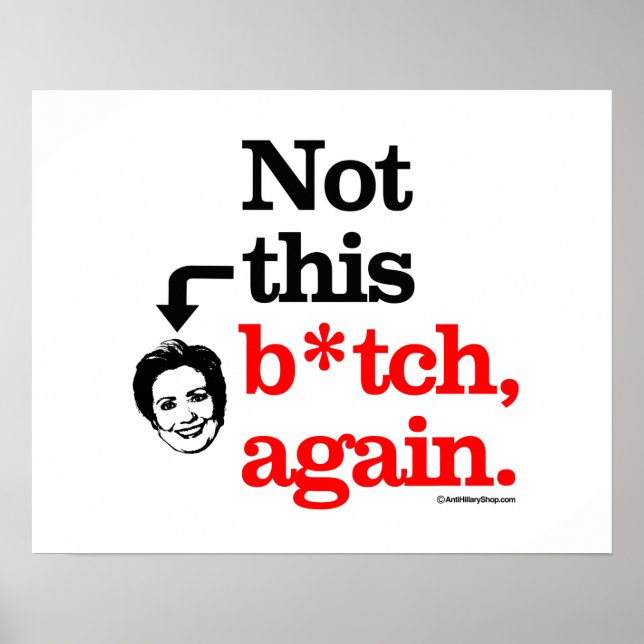Nicht dieses B-tch nochmal -png.png Poster (Vorne)