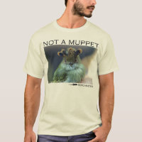Nicht ein Muppet-Shirt