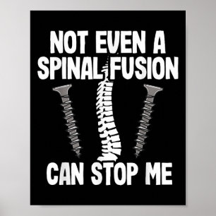 Nicht einmal eine Snal-Fusion kann mich aufhalten Poster