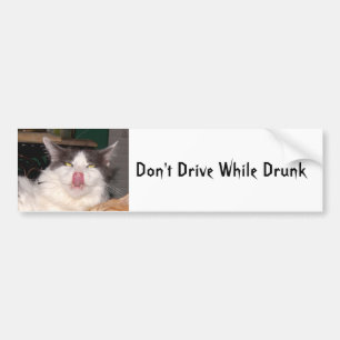 Nicht fahren betrunkener Funny Cat Autoaufkleber