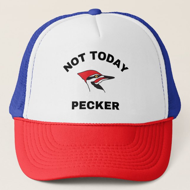 nicht heute specht. truckerkappe (Vorderseite)