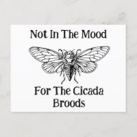 Nicht in der Stimmung für die Cicada Broods
