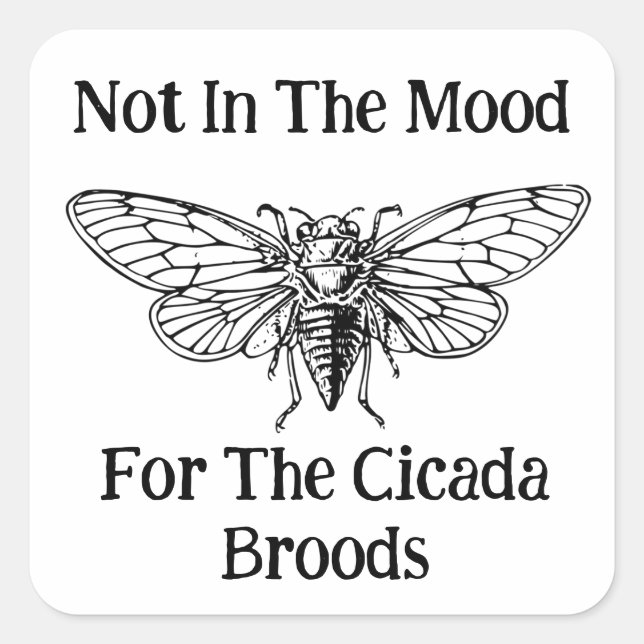 Nicht in der Stimmung für die Cicada Broods Quadratischer Aufkleber (Vorderseite)