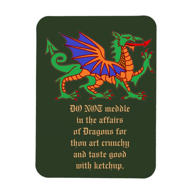Nicht in die Angelegenheiten des Dragons Magnet ei (Vertikal)