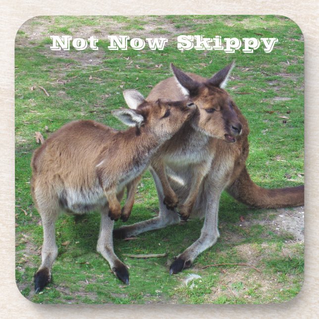 Nicht jetzt Skippy Untersetzer (Vorderseite)