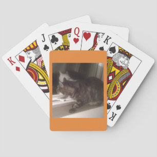Nicht mit dir reden Dave Bicycle Playing Cards Spielkarten
