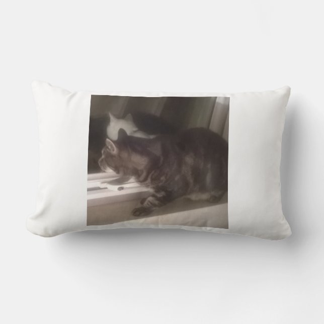 Nicht mit Ihnen Dave Lumbar Kissen 33 x 53 cm (Vorderseite)