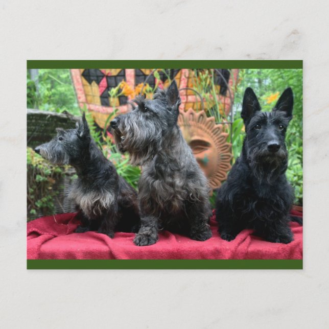 Nicht nach Postkarte suchen (Vorderseite)