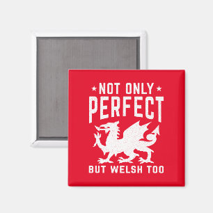 Nicht nur perfekt, sondern auch walisisch zu lusti magnet