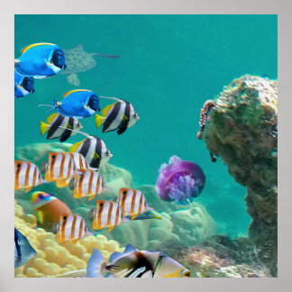 Nicht nur tropische Fische leben auf Korallenriffe Poster