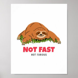 Nicht schnell, nicht wütend poster
