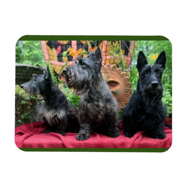 Nicht sehen magnet (Horizontal)