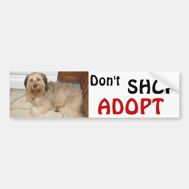 Nicht SHOP ~ ADOPTIER! Autoaufkleber (Vorne)