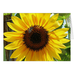 Nicht tut Atem zu tief