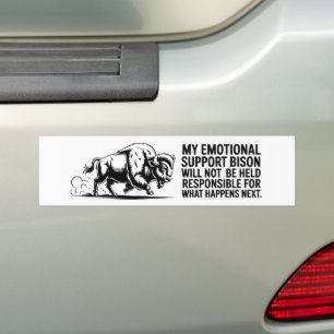 Nicht verantwortlich für das, was als Nächstes pas Autoaufkleber