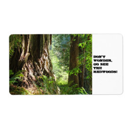 Nicht wundern, schauen Sie sich die Redwoods an! E
