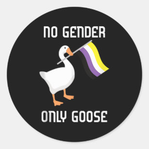 Nichtbinäre Gans Kein Geschlecht Stolzflagge Lgbtq Runder Aufkleber