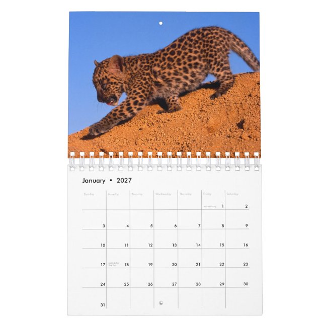 Nichts aber Leoparden - Kalender 2018 (Jan 2027)