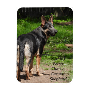 Nichts Besseres als ein deutscher Schäferhund Magnet